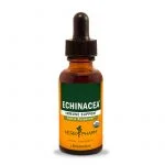 Echinacea