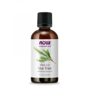 Tea Tree Oil Organic